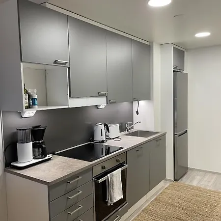 Valoisa Kaksio Jaervinaekoealoin Apartment