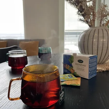 Appartamento Valoisa Kaksio Jaervinaekoealoin *